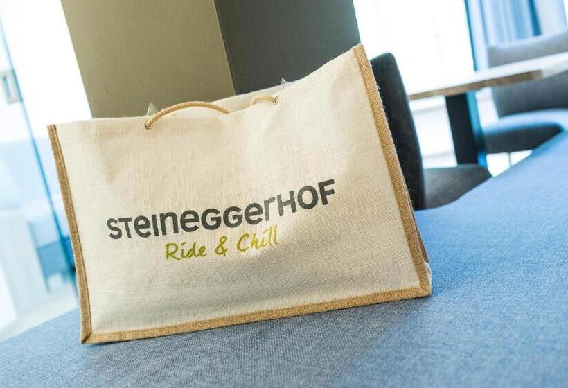 Номер Стандарт Индивидуальный с Балконом, Bio & Bikehotel Steineggerhof