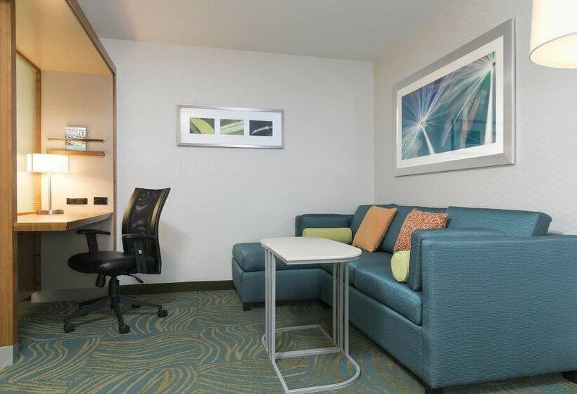 Люкс, Springhill Suites By Marriott Chicago Southeast/munster, In