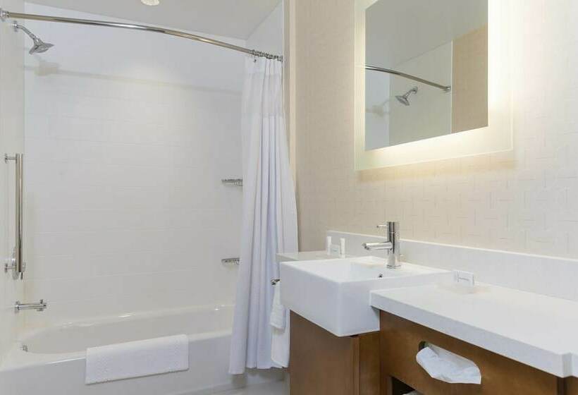 Люкс, Springhill Suites By Marriott Chicago Southeast/munster, In