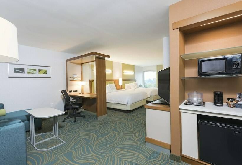 Люкс, Springhill Suites By Marriott Chicago Southeast/munster, In