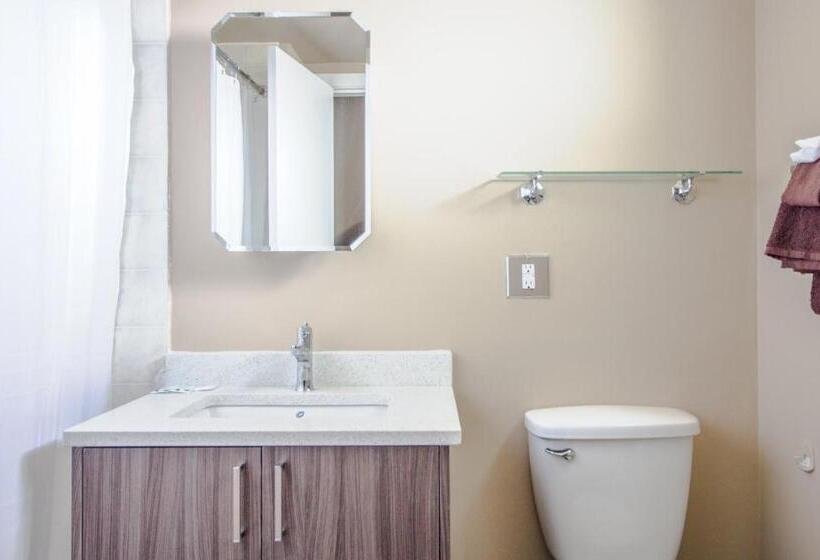 Люкс, Okanagan Royal Park Inn By Elevate Rooms