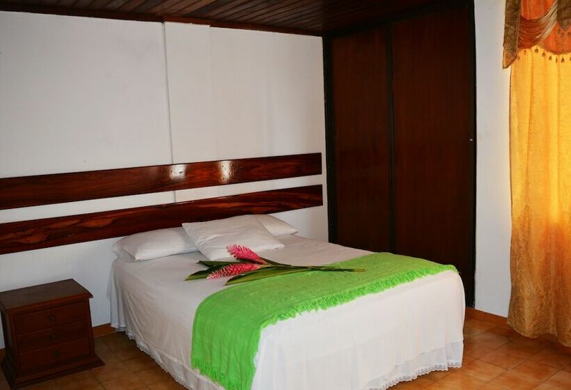 اتاق استاندارد یک نفره, Amazonas Real