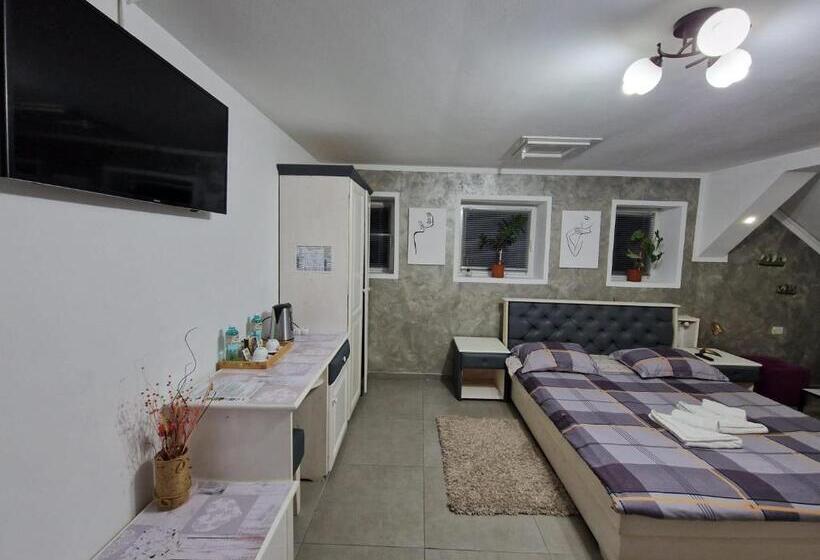 اتاق لوکس, Cazare Moldi   Regim Hotelier