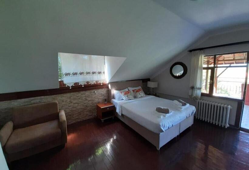 جناح مزود بتراس, Butik Hotel Maşukiye