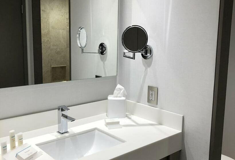 스위트, Hilton Garden Inn Mexico City Santa Fe