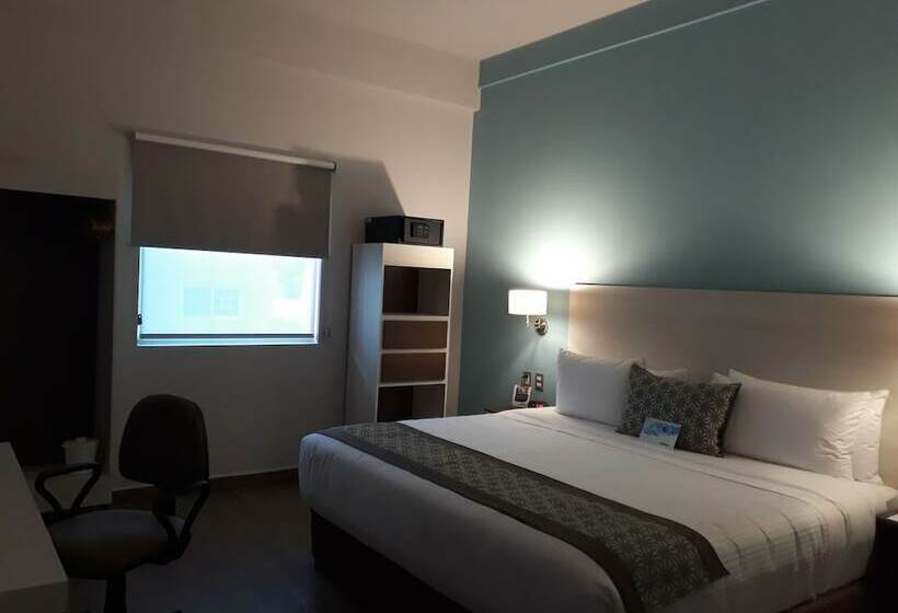 套房, Comfort Inn & Suites Los Cabos