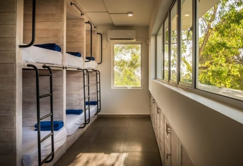 Кровать в Общей Комнате, Island Hostels