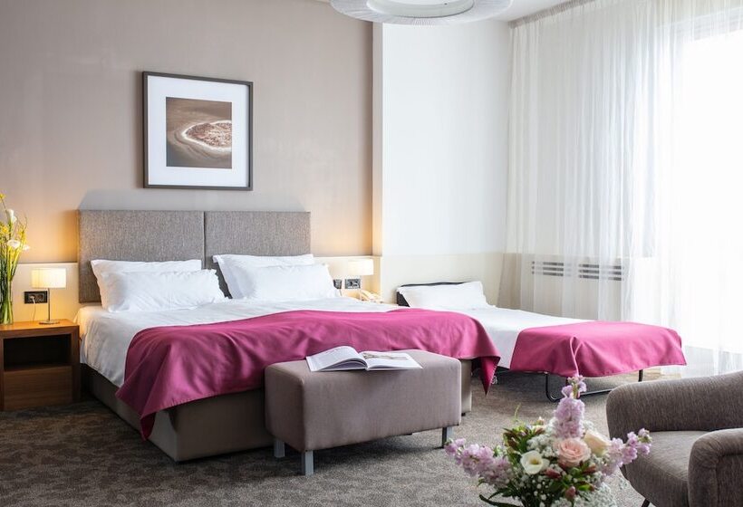 수피리어 룸 바다 전망, Brijuni Hotel Istra