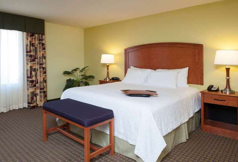 Habitació Estàndard Llit King, Hampton Inn Chicago Mccormick Place