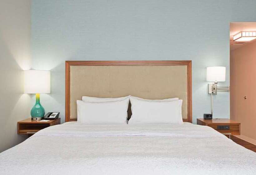 Habitació Estàndard, Hampton Inn Chicago Mccormick Place