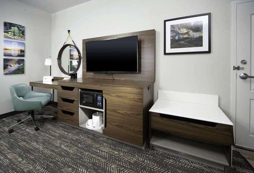 Habitació Estàndard, Hampton Inn Chicago Mccormick Place