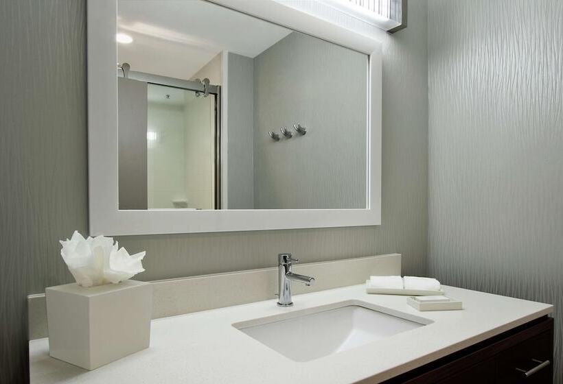 Люкс Адаптированный для Инвалидов, Home2 Suites By Hilton Mobile I65 Government Boulevard