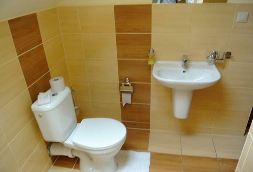 Habitació Deluxe, Penzion Pri Mlyne
