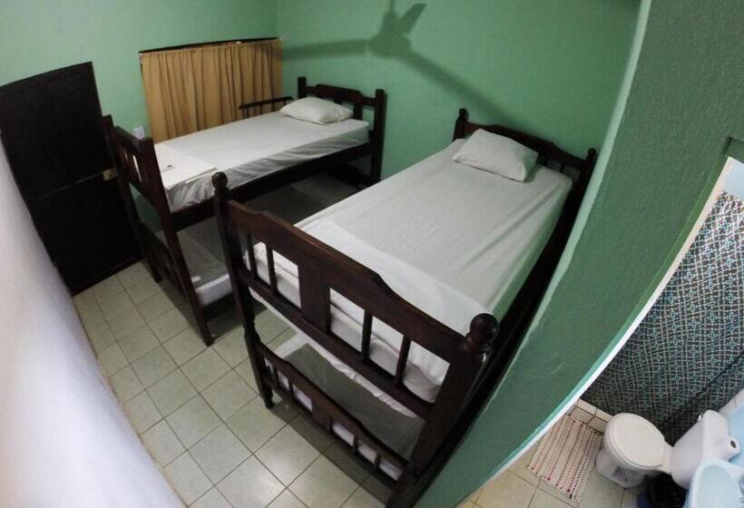 4인용 스탠다드 룸, Tsunami Hostel