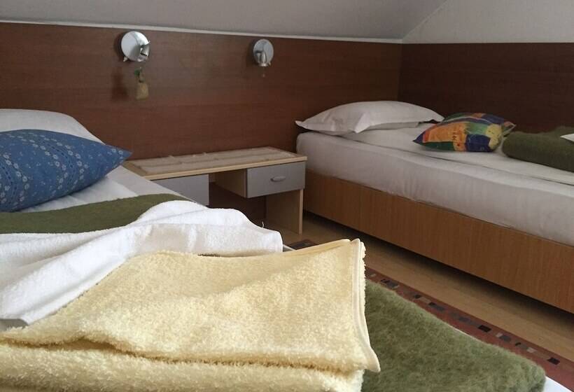 Номер Стандарт, Pensiunea Buon Gusto Sibiu Motorcyle Friendly,city Center