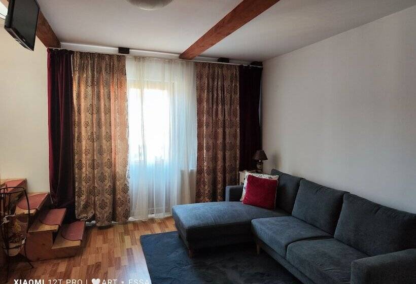 Полулюкс Одноместный с Террасой, Pensiunea Buon Gusto Sibiu Motorcyle Friendly,city Center