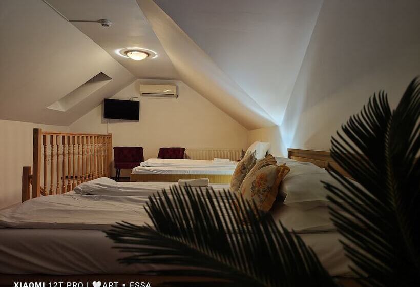 سوئیت جونیور با تراس, Pensiunea Buon Gusto Sibiu Motorcyle Friendly,city Center