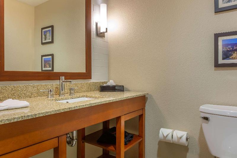 اتاق استاندارد با تخت بزرگ, Comfort Inn & Suites Boise Airport
