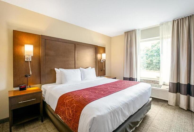 Номер Стандарт Кровать Кинг Адаптированный для Инвалидов, Comfort Suites Fishkill Near Interstate 84