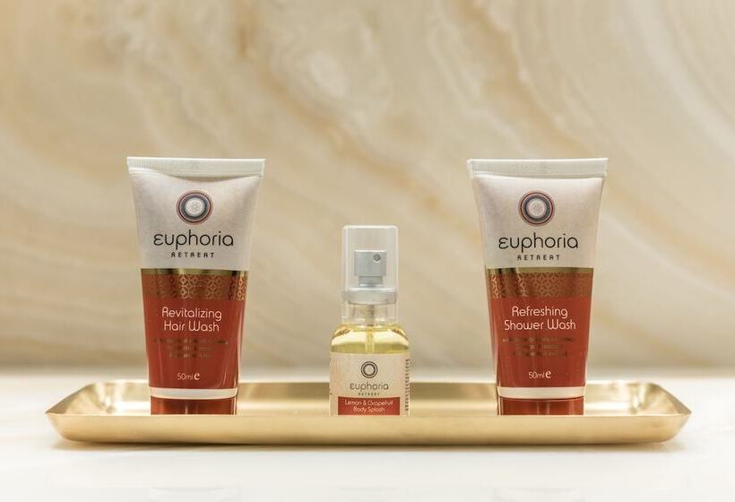 Номер Executive, Euphoria Retreat  A Holistic Wellbeing Destination Spa