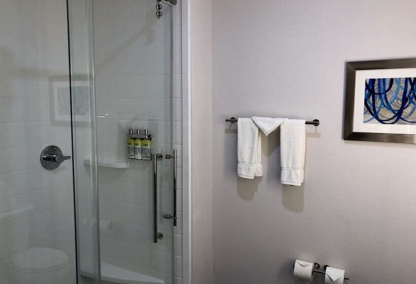 套房, Holiday Inn Express & Suites   Houston Westchase   Westheimer, An Ihg