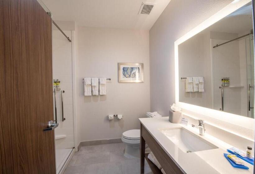 适合残疾人士使用的套间, Holiday Inn Express & Suites   Houston Westchase   Westheimer, An Ihg
