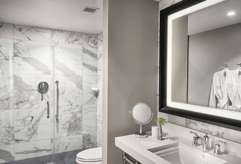 Номер Deluxe, The Foundry Hotel Asheville, Curio Collection By Hilton