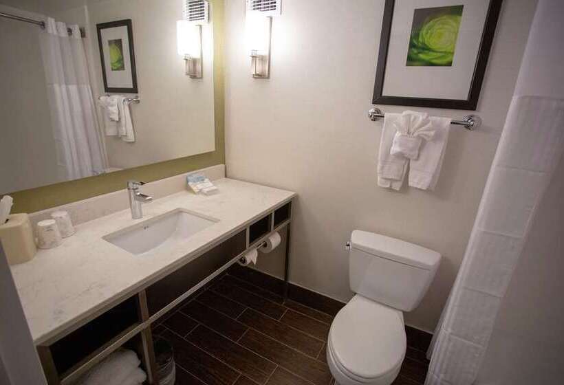 Номер Стандарт, The Foundry Hotel Asheville, Curio Collection By Hilton
