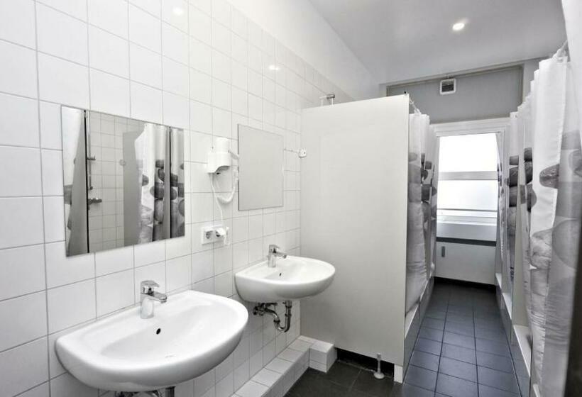 חדר סטנדרט חדר אמבטיה משותף, Low Budget Hostel