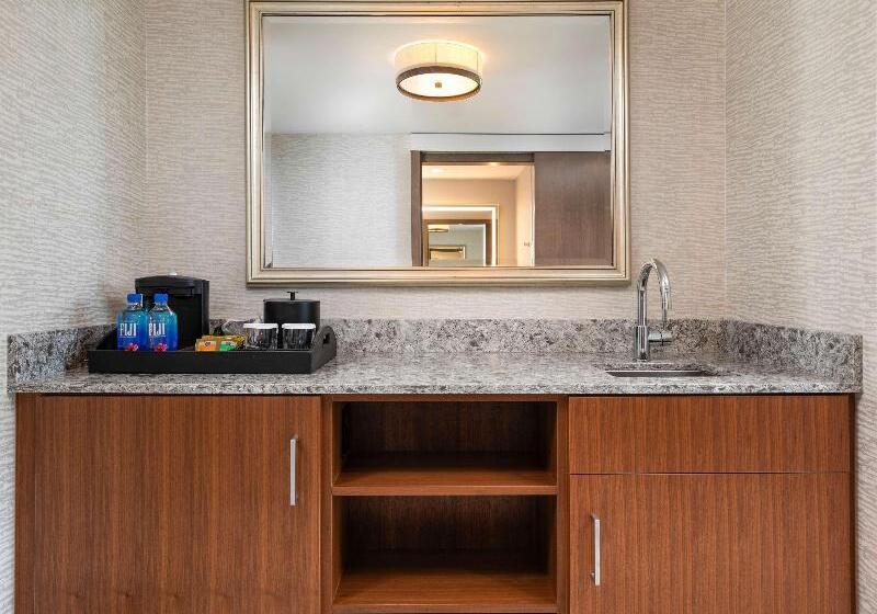 Номер Executive, Hilton Rochester Mayo Clinic Area