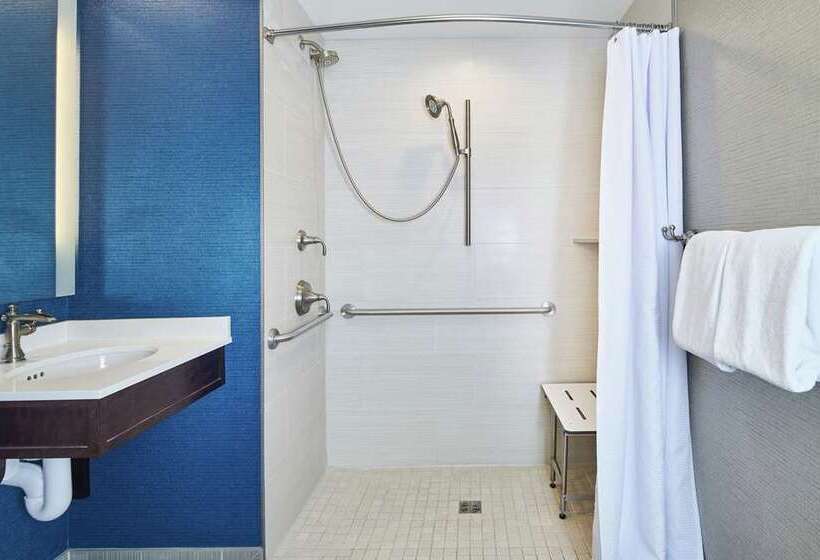 Стандартный Номер Кровать Кинг, Hilton Rochester Mayo Clinic Area