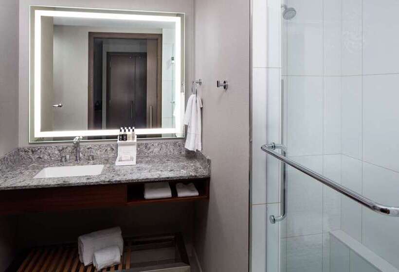 Номер Executive Кровать Кинг, Hilton Rochester Mayo Clinic Area