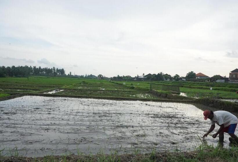 풀장 전망 스위트, Pondok Uma Ubud