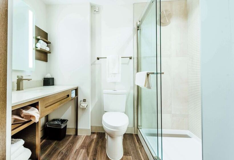 Номер Стандарт 2 Двуспальные Кровати, Hilton Garden Inn Denver Union Station, Co