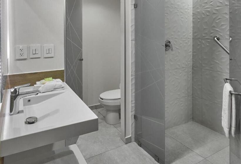 스탠다드 룸 킹사이즈 침대, City Express Plus By Marriott Tijuana