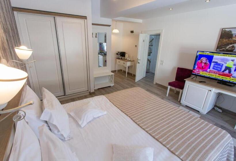Стандартный Номер Кровать Кинг, Pensiunea Carmen`s Mansion B