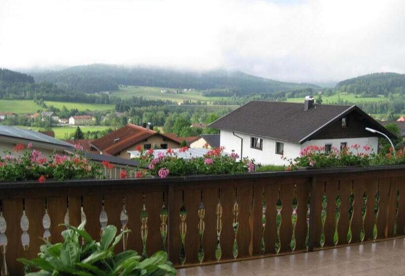 Номер Стандарт с Балконом, Gästehaus Steininger