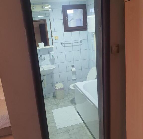 اتاق خانوادگی, Guest House Vila Bor