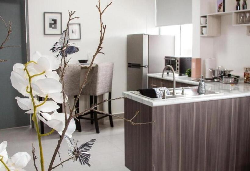 סטודיו משפחתי, Suites André Confort Ejecutivo