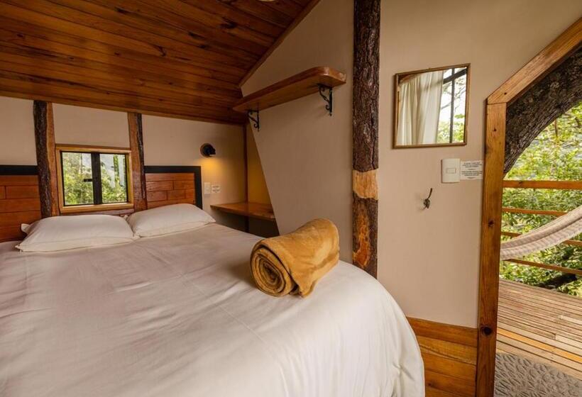 اتاق استاندارد یک نفره, Earth Lodge