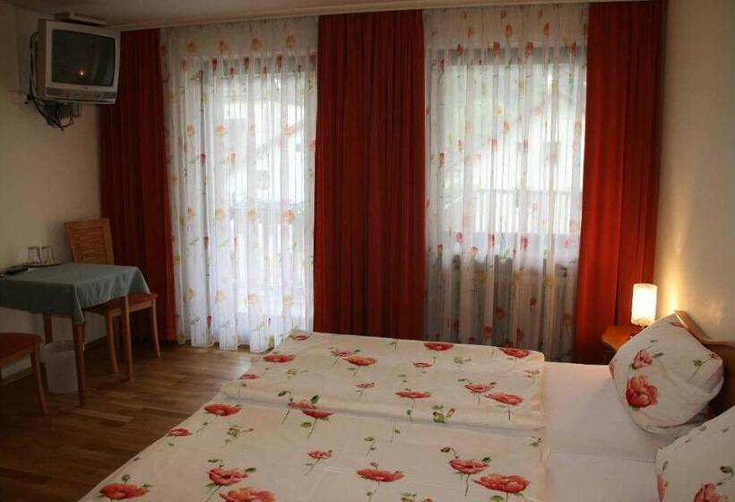 Номер Стандарт с Балконом, Pension Holzapfel