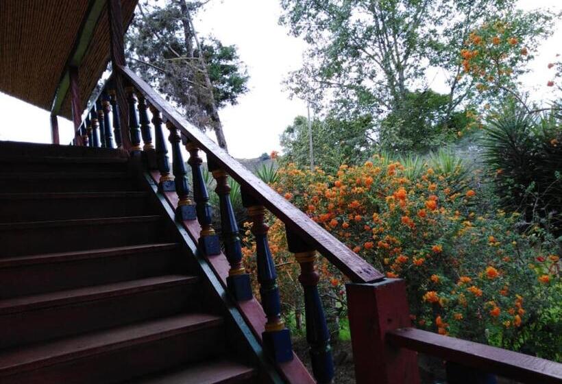 غرفة سوبيريور عائلية, Hosteria Campestre San Fermin
