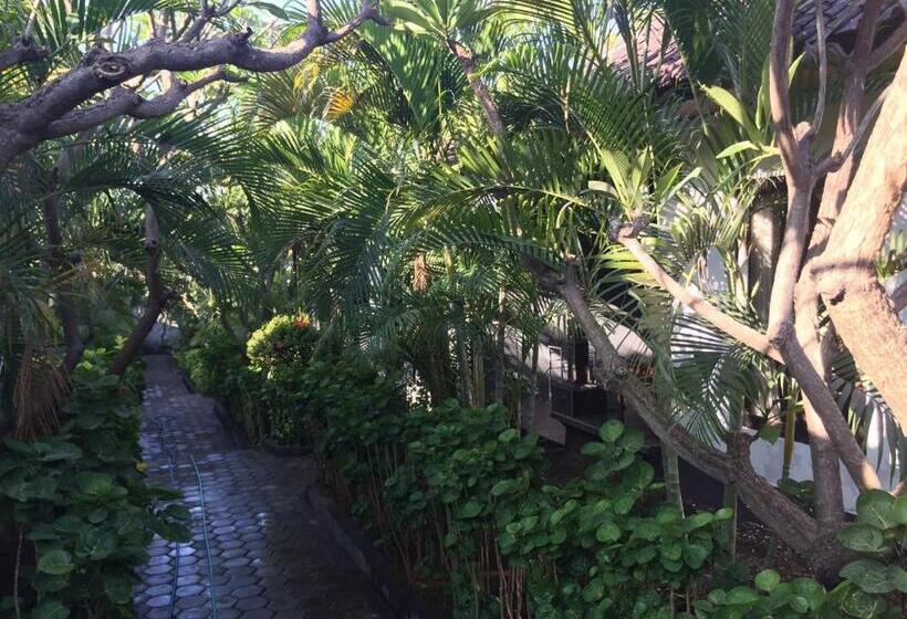 스탠다드 룸, Scuba Tribe Bali Dive Resort