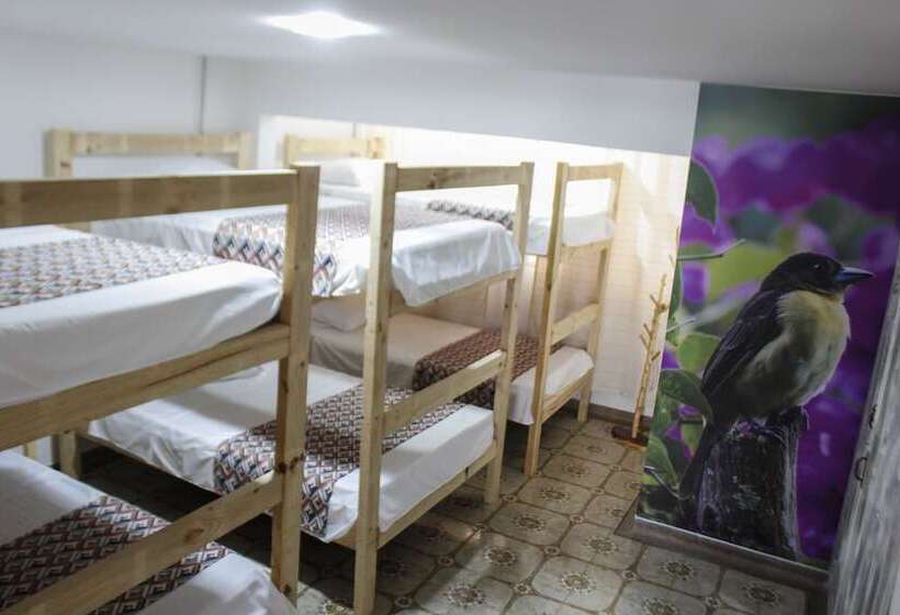 Cama em Quarto Compartilhado, La Otra Mitad Hostel