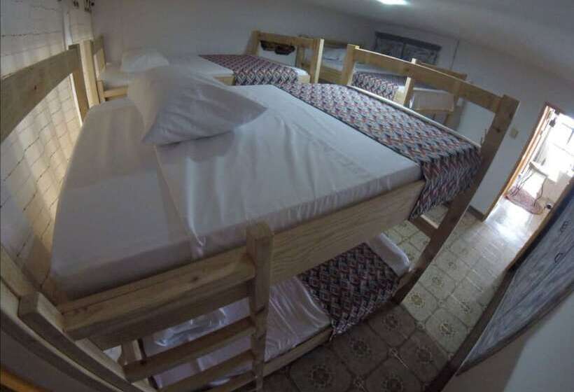 Cama em Quarto Compartilhado, La Otra Mitad Hostel