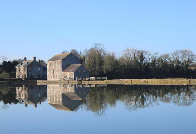 اتاق لوکس, Carew Inn