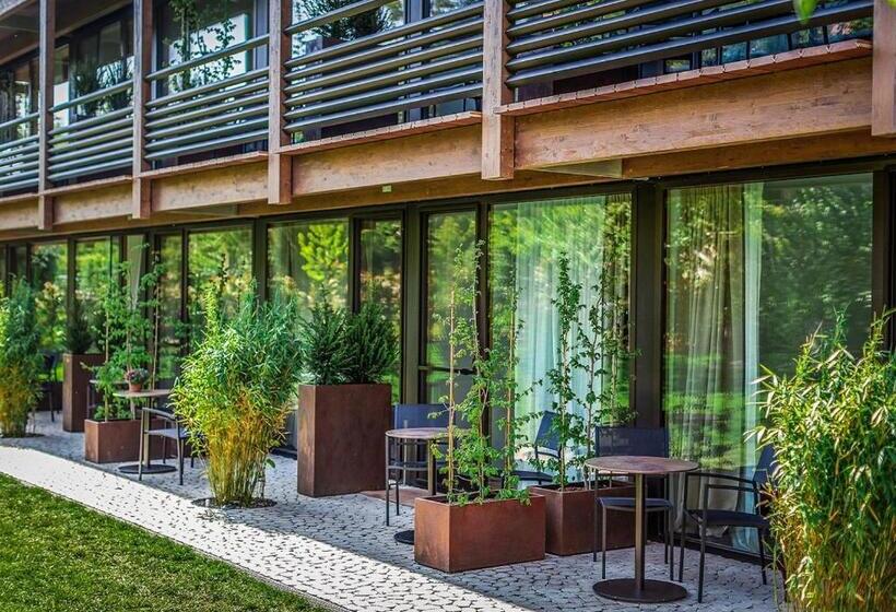 Апартаменты 1 Спальня с Террасой, Ferienwohnungen Boardinghouse Bodensee