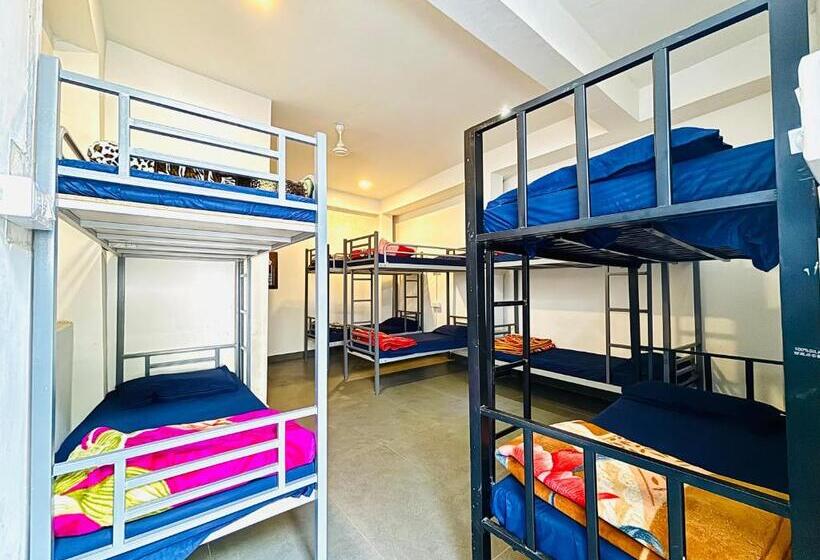 سرير فى غرفة مشتركه, Trip In Hostel