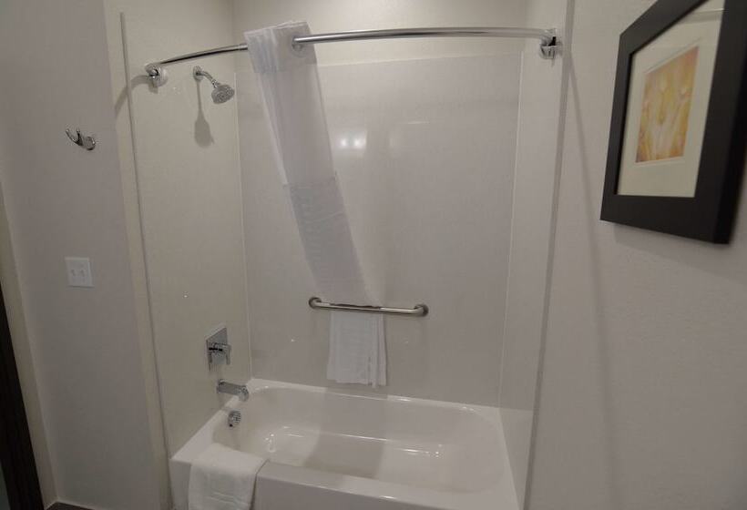 Люкс, Best Western Plus Waller