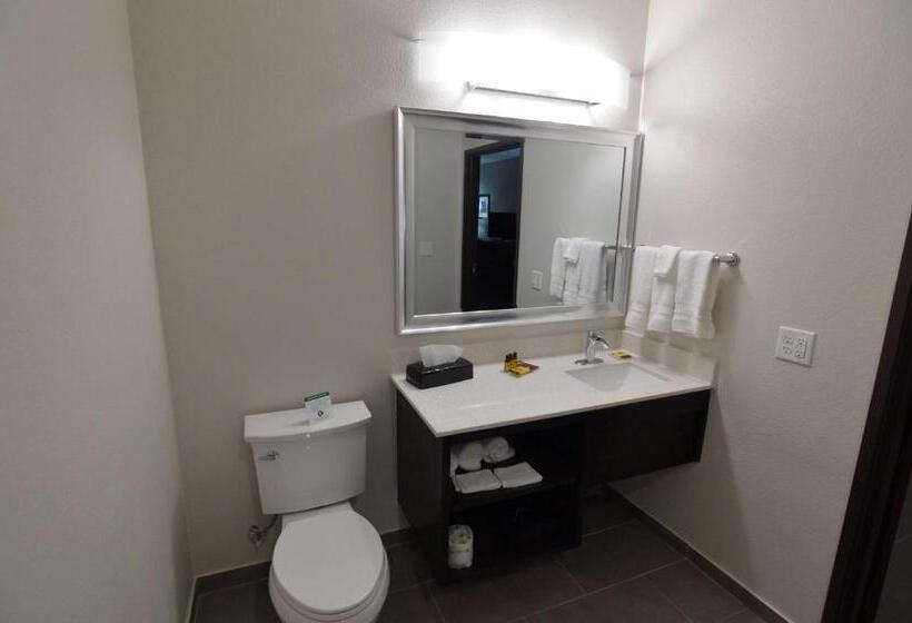 Номер Executive Кровать Кинг, Best Western Plus Waller